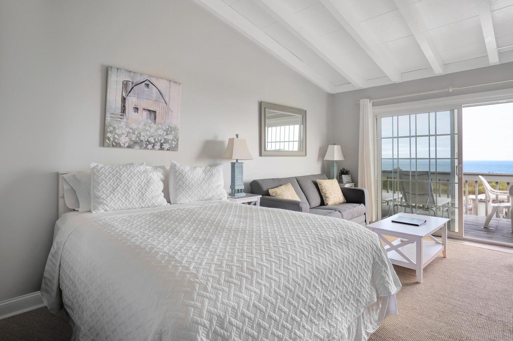 Plum Montauk