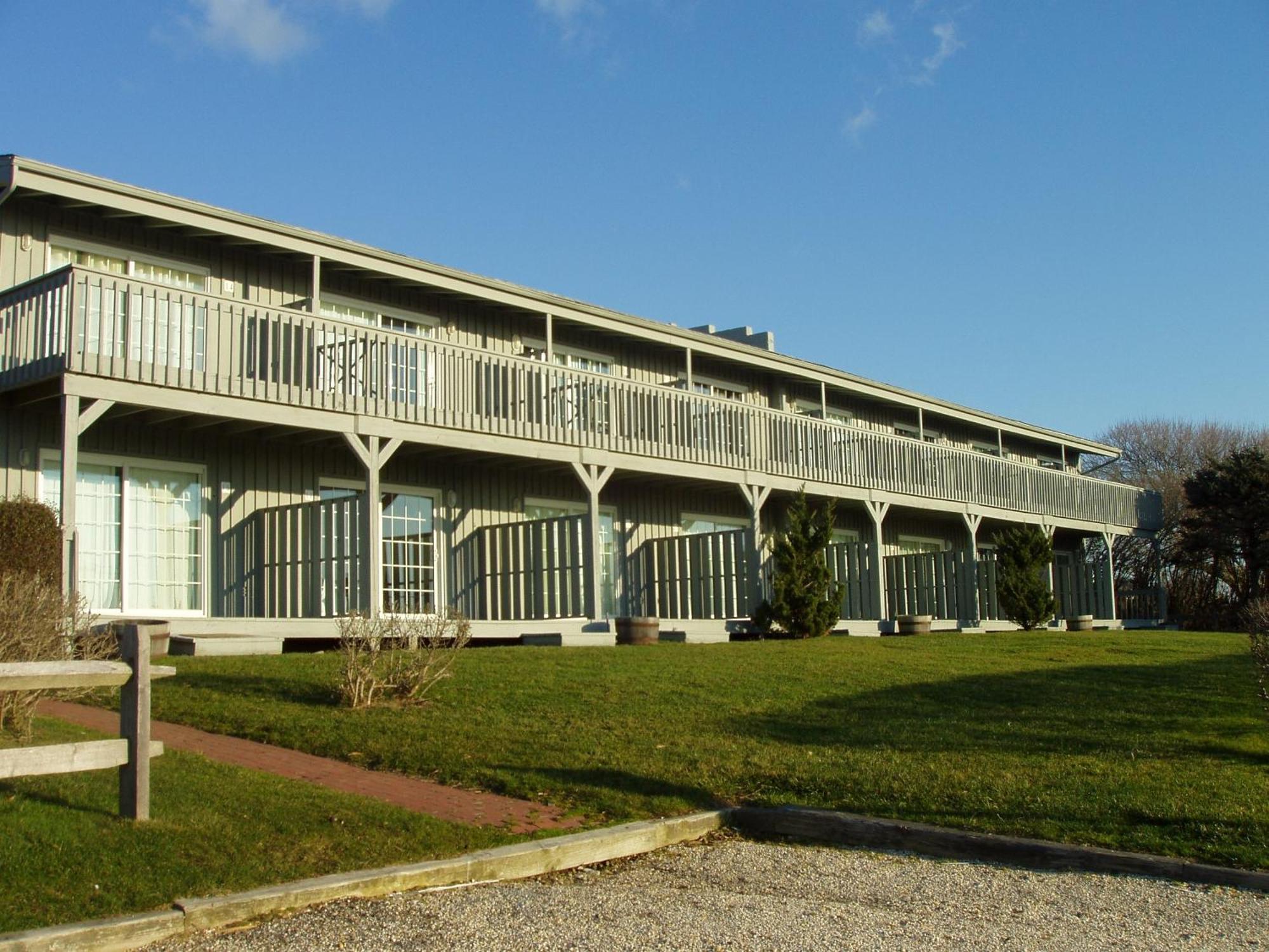 Plum 3* Montauk